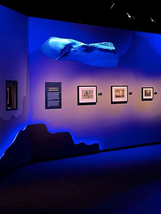 Ausstellungsbereich „Nature“ der Disney 100 Ausstellung mit licht- und videobasierter Unterwasser-Inszenierung zu Disneys dokumentarischen Naturfilmen – Gestaltung und Videokonzept von cocurio